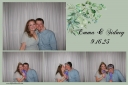 105352-strip.jpg