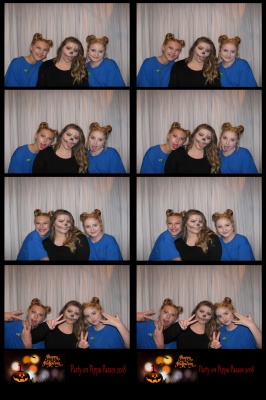 101346-strip.jpg